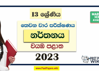 2023 Grade 13 Dancing 3rd Term Test Paper | North Western Province