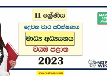 2023 Grade 11 Media 2nd Term Test Paper North Western Province