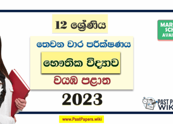 2023 Grade 12 Physics 3rd Term Test Paper | North Western Province