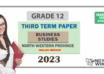 2023 Grade 12 Business Studies 3rd Term Test Paper | North Western Province - English Medium