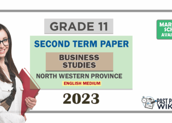 2023 Grade 11 Business Studies 2nd Term Test Paper | North Western Province