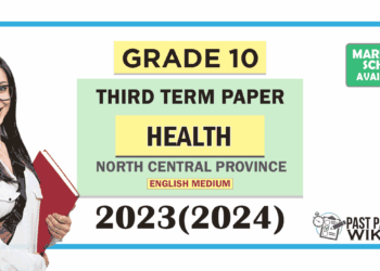 North Central Province 2023(2024) Grade 10 Health 3rd Term Test Paper with Answers | English Medium