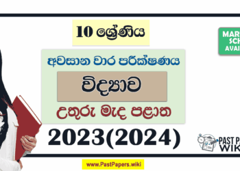 North Central Province 2023(2024) Grade 10 Science 3rd Term Test Paper with Answers