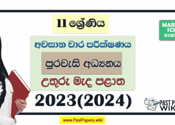 North Central Province 2023(2024) Grade 11 Civic 3rd Term Test Paper with Answers