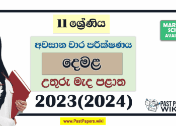 North Central Province 2023(2024) Grade 11 Tamil 3rd Term Test Paper with Answers