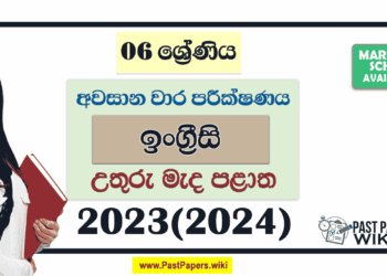 North Central Province 2023(2024) Grade 06 English 3rd Term Test Paper with Answers