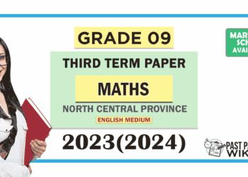 North Central Province 2023(2024) Grade 09 Maths 3rd Term Test Paper with Answers | English Medium