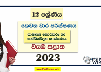 2023 Grade 12 GIT 3rd Term Test Paper | North Western Province