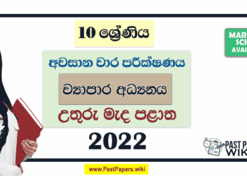 North Central Province 2022 Grade 10 Business Studies 3rd Term Test Paper with Answers