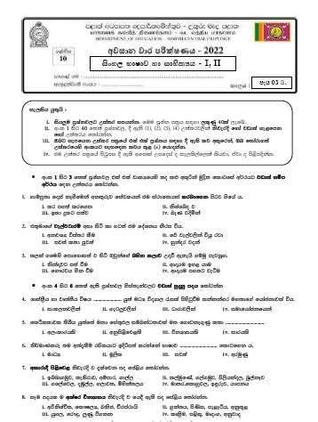 North Central Province 2022 Grade 10 Sinhala 3rd Term Test Paper with Answers