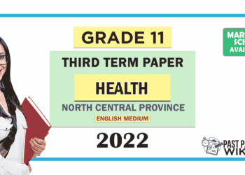 North Central Province 2022 Grade 11 Health 3rd Term Test Paper with Answers | English Medium