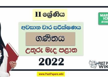 North Central Province 2022 Grade 11 Maths 3rd Term Test Paper with Answers