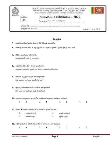 North Central Province 2022 Grade 08 Drama 3rd Term Test Paper with Answers