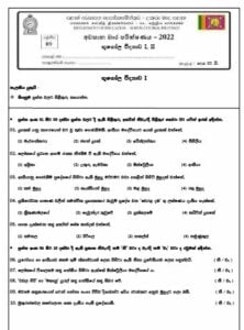 North Central Province 2022 Grade 09 Geography 3rd Term Test Paper with ...