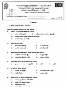 North Central Province 2022 Grade 09 Health 3rd Term Test Paper with ...