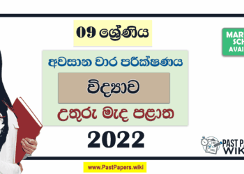 North Central Province 2022 Grade 09 Science 3rd Term Test Paper with Answers