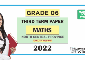 North Central Province 2022 Grade 06 Maths 3rd Term Test Paper with Answers | English Medium