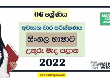 North Central Province 2022 Grade 06 Sinhala 3rd Term Test Paper with Answers