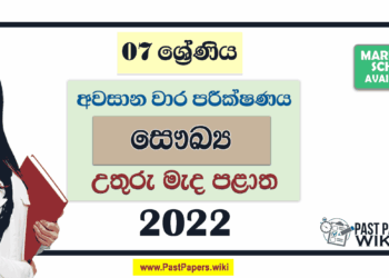 North Central Province 2022 Grade 07 Health 3rd Term Test Paper with Answers