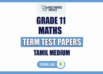 Tamil Medium Grade 11 Maths Term Test Papers