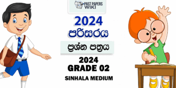 Grade 02 Environment Term Test Paper 2024 | Hadapanagala Vidyalaya