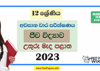 Grade 12 Biology 3rd Term Test Paper 2023 Paper With Answers | North Central Province