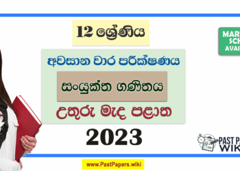 Grade 12 Combined Maths 3rd Term Test Paper 2023 Paper With Answers | North Central Province