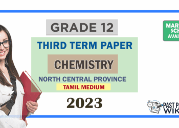 Grade 12 Chemistry 3rd Term Test Paper 2023 Paper With Answers | North Central Province - Tamil Medium