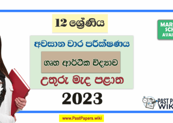 Grade 12 Home Science 3rd Term Test Paper 2023 Paper With Answers | North Central Province