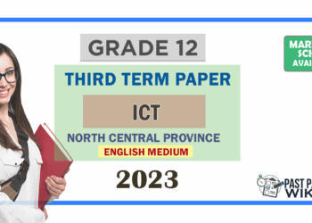 Grade 12 ICT 3rd Term Test Paper 2023 Paper With Answers | North Central Province - English Medium