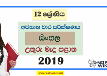 Grade 12 Sinhala 3rd Term Test Paper 2019 | North Central Province