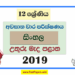 Grade 12 Sinhala 3rd Term Test Paper 2019 | North Central Province