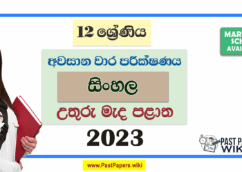 Grade 12 Sinhala 3rd Term Test Paper 2023 Paper With Answers | North Central Province