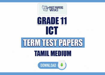 Tamil Medium Grade 11 ICT Term Test Papers