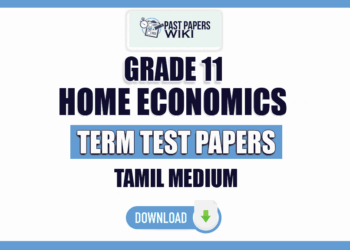 Tamil Medium Grade 11 Home Economics Term Test Papers