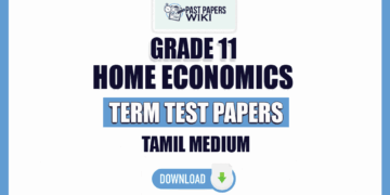 Tamil Medium Grade 11 Home Economics Term Test Papers