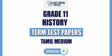 Tamil Medium Grade 11 History Term Test Papers