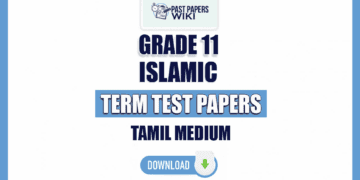 Tamil Medium Grade 11 Islamic Term Test Papers