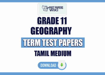 Tamil Medium Grade 11 Geography Term Test Papers