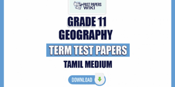 Tamil Medium Grade 11 Geography Term Test Papers