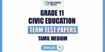 Tamil Medium Grade 11 Civic Education Term Test Papers
