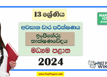 2024 Grade 13 ET 3rd Term Test Paper with Answers | Central Province