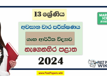 2024 Grade 13 Home Economics 3rd Term Test Paper with Answers | Eastern Province