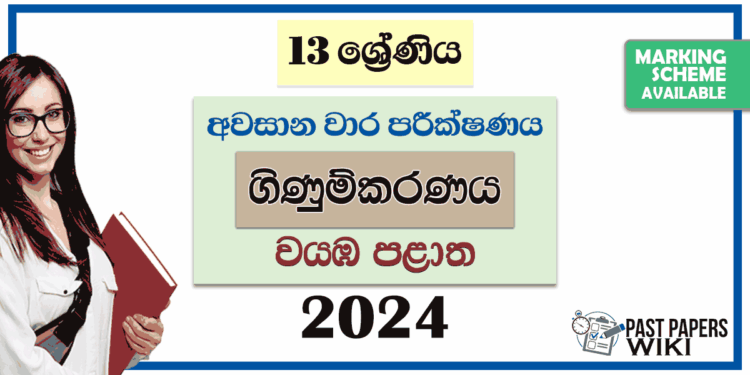 2024 Grade 13 Accounting 3rd Term Test Paper with Answers | North Western Province