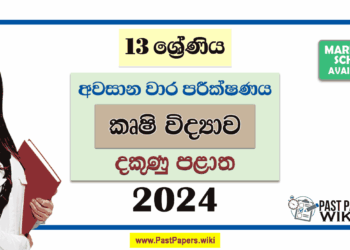 2024 Grade 13 Agri 3rd Term Test Paper with Answers | Southern Province