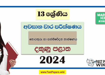 2024 Grade 13 ICT 3rd Term Test Paper with Answers | Southern Province