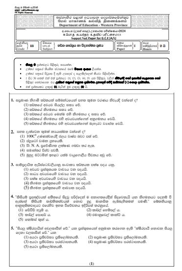 2024 Grade 13 Logic 3rd Term Test Paper with Answers | Western Province