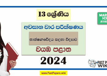 2024 Grade 13 SFT 3rd Term Test Paper with Answers | North Western Province