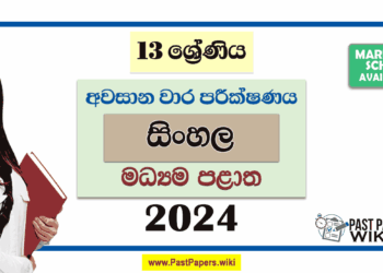 2024 Grade 13 Sinhala 3rd Term Test Paper with Answers | Central Province
