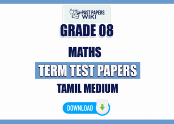 Tamil Medium Grade 08 Maths Term Test Papers